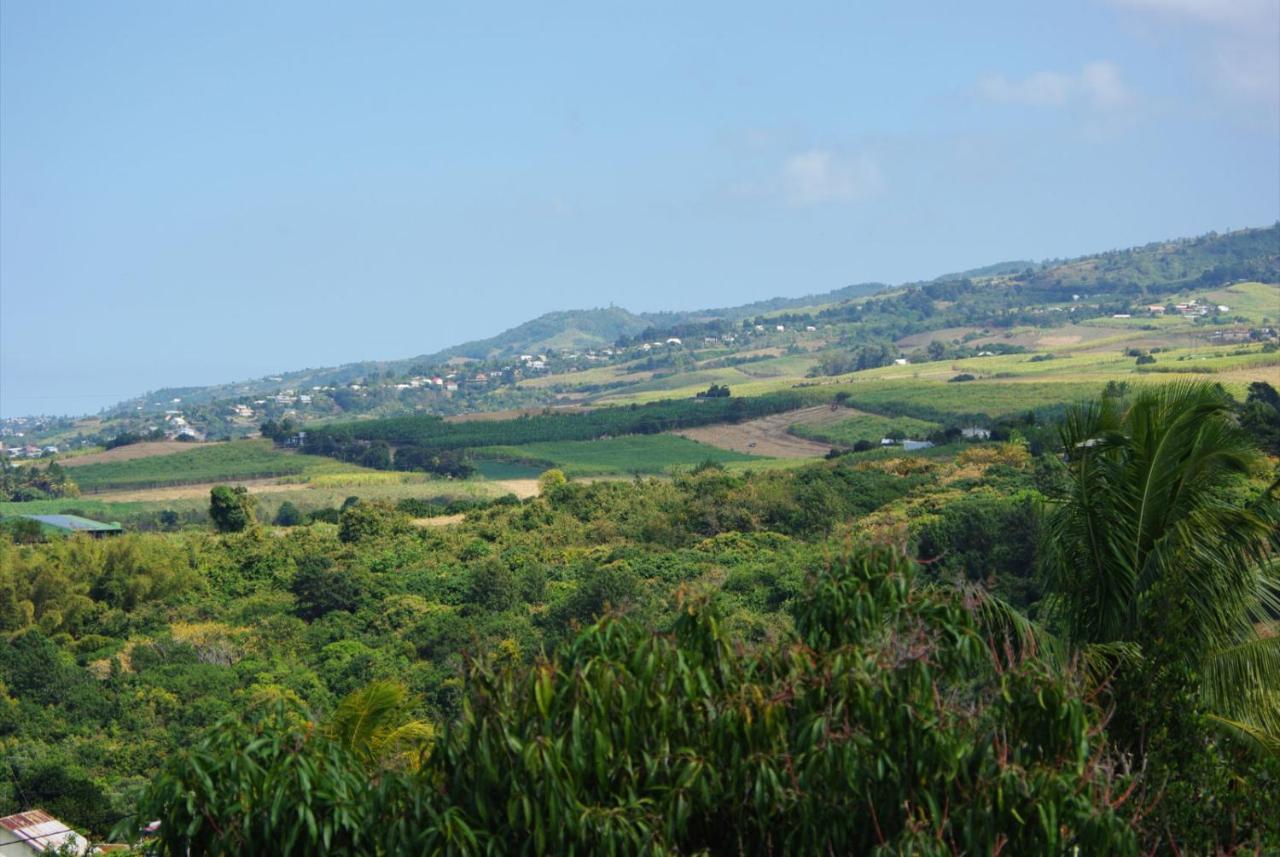 Capucine Les Hauts Riviere Saint-Louis Ngoại thất bức ảnh